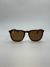 Load image into Gallery viewer, Talia Brown Sunglasses